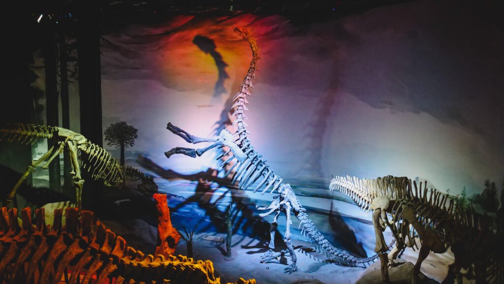 Visiting Trelew's dinosaur museum which is home to the biggest dinosaur in the world!