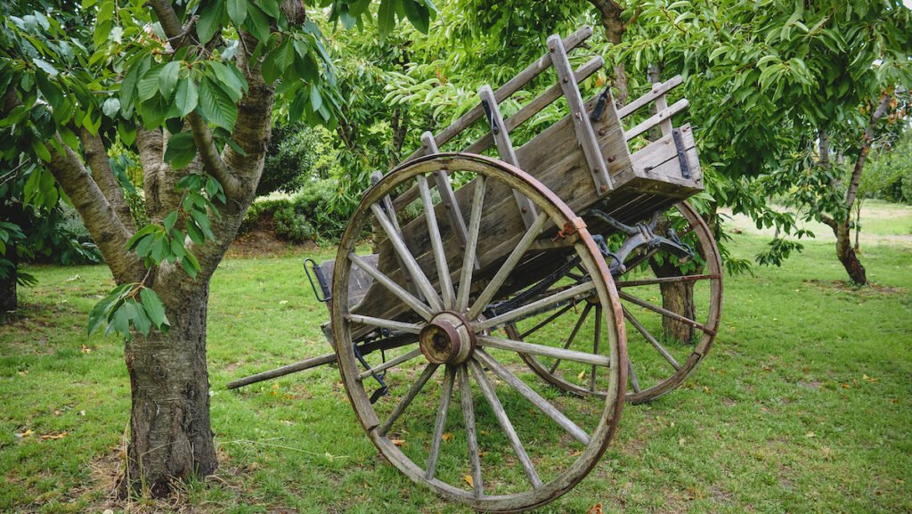 Old carriage at Quintas Narlú farm in outskirts of Gaiman.