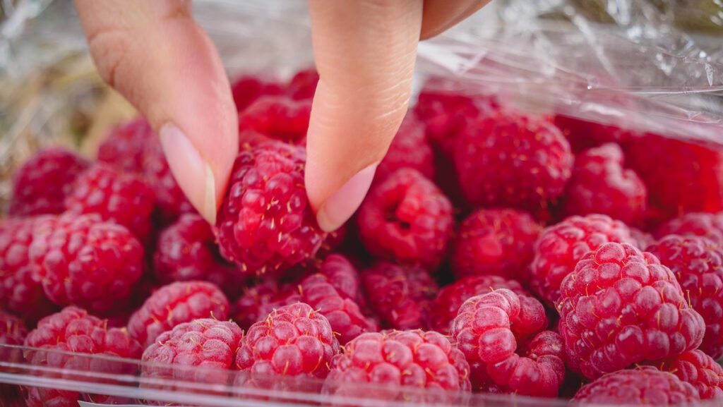 Freshly picked raspberries at Quintas Narlú, a fruit plantation in Gaiman.