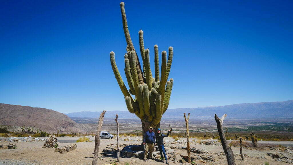 800 year old Grandfather Cactus in Tucuman, Argentina 