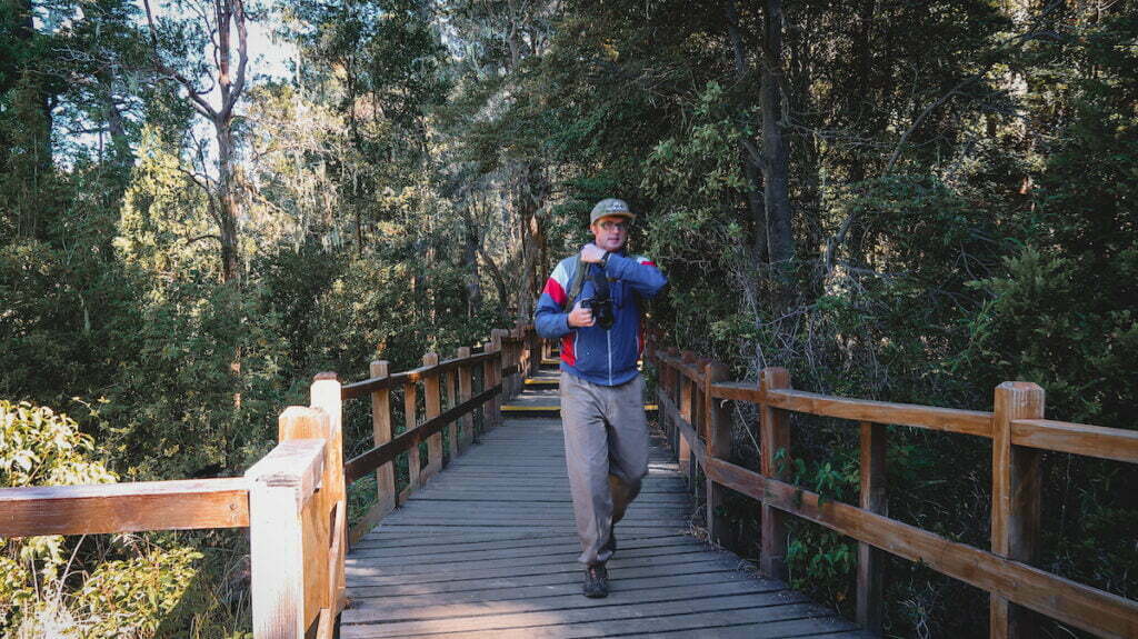 Walking on the boardwalk in the Arrayanes Forest 