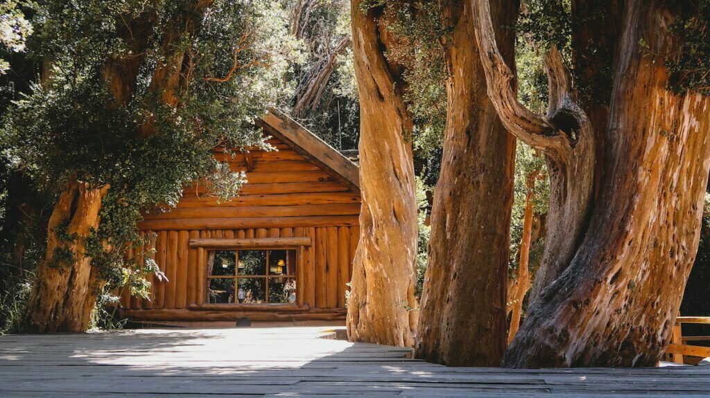 The famous tea house that looks like a log cabin in the Arrayanes Forest. 