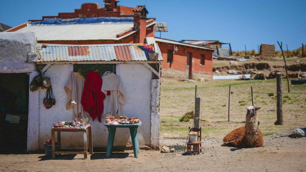 Artesanal market on the side of the road at Mirador el Infiernillo in Tucumán 