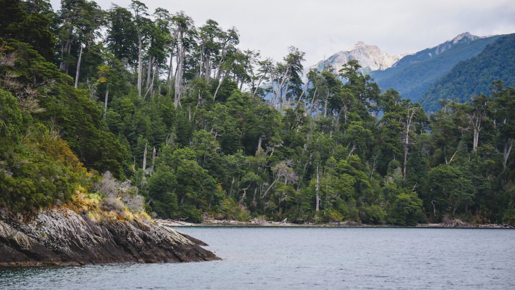 Views of Los Alerces National Park from the boat tour to the Alerce Forest.