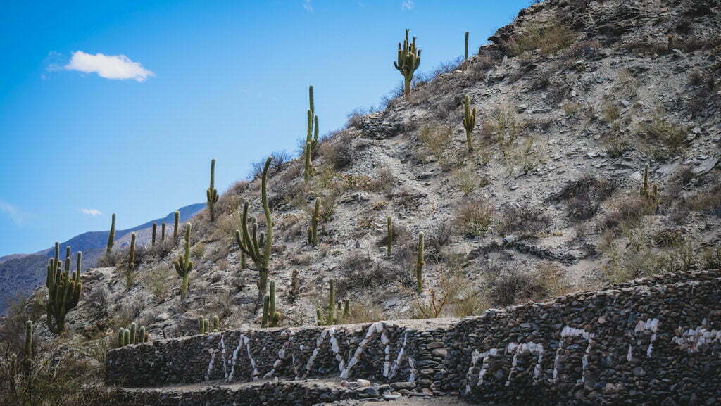 Stone terraces and cacti at the Quilmes Ruins in Tucuman 