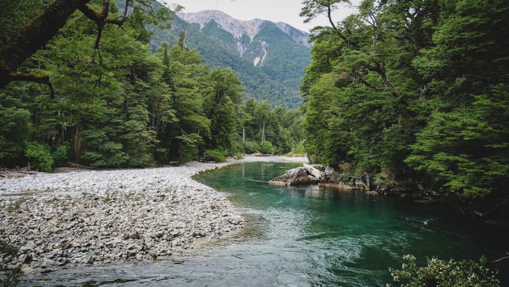 Emerald waters flowing through Los Alerces National Park in Chubut, Argentina 