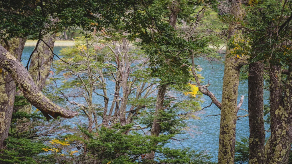 Lago Escondido looks green because of the trees reflecting in the water Lago Escondido looks green because of the trees reflecting in the water