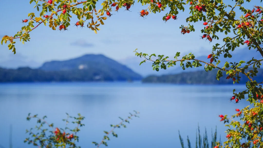 Lake Nahuel Huapi on the Route of the 7 Lakes Lake Nahuel Huapi on the Route of the 7 Lakes