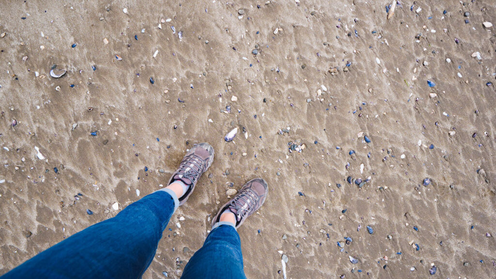 Sea shells on the seabed during low tide in Rada Tilly, Chubut, Argentina 