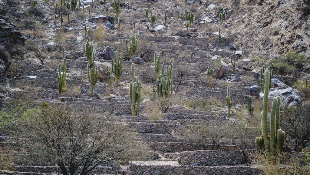 Quilmes Ruins in Tucuman, Argentina 