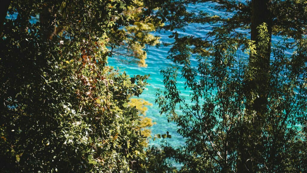 Turquoise waters of Nahuel Huapi on a day trip to Arrayanes Forest near Villa La Angostura 