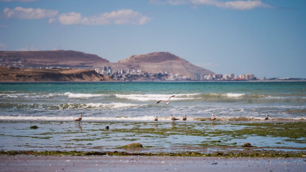 Views of Comodoro Rivadavia from Rada Tilly, Chubut, Argentina 