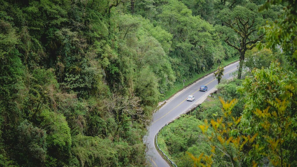The winding road through the Yungas on the way to Tafi del Valle 