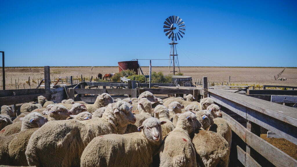 Estancia San Lorenzo on Peninsula Valdes in Patagonia, Argentina 