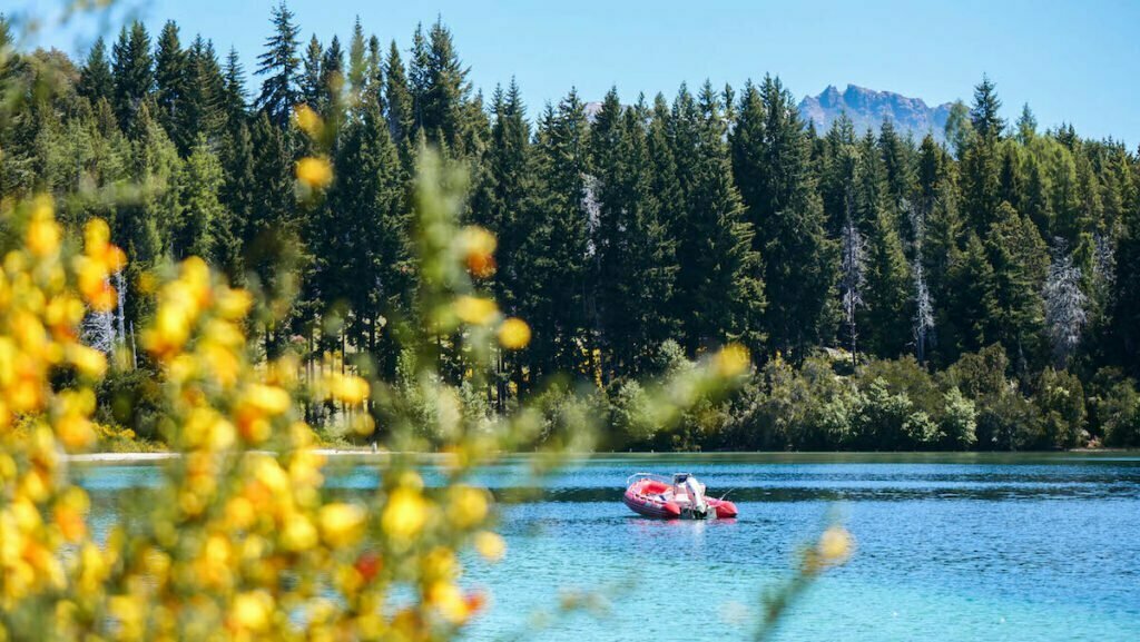 Views of Bariloche's Isla Victoria featuring dense forest and a turquoise lake. 