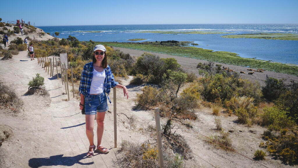 Visiting Península Valdés to see wildlife - this destination is a must visit on our coastal Patagonia travel itinerary 