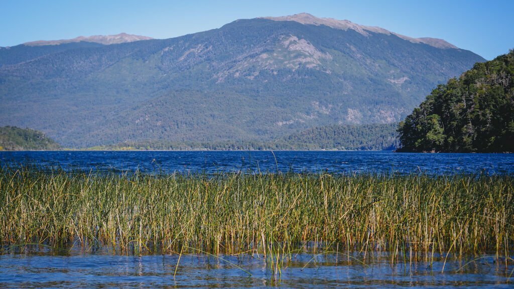 Lanín National Park in Patagonia, Argentina