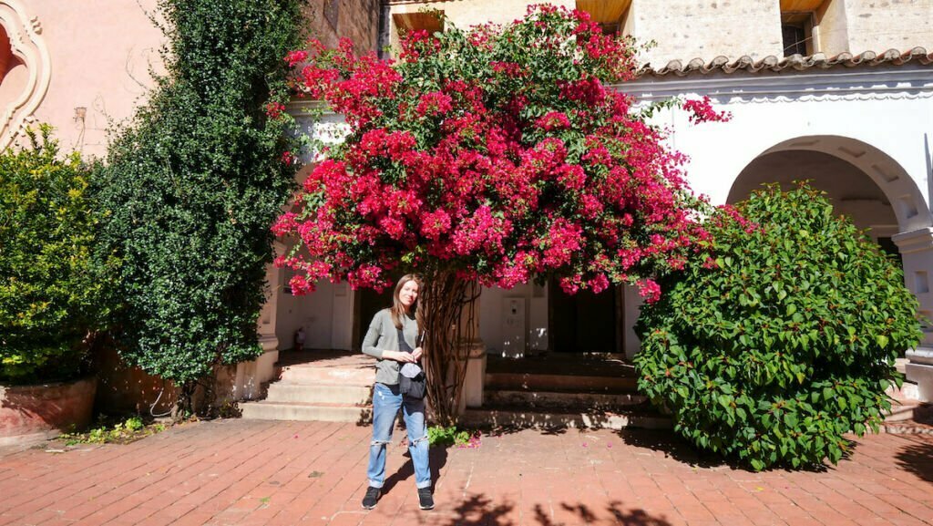 Museum of Religious Art Juan de Tejeda and the courtyard with beautiful trees in bloom.