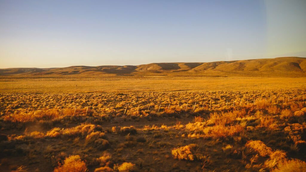 The Patagonian steppe during golden hour before the sun begins to set.
