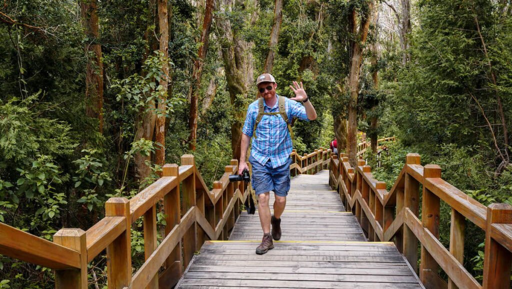 Visiting the Arrayanes Forest on a boat tour to Isla Victoria. 