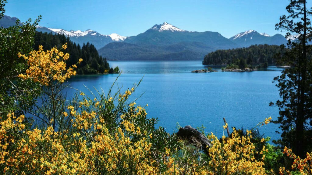 How to Visit Bariloche's Isla Victoria & Arrayanes Forest on a Day Trip