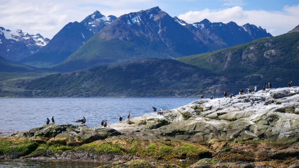 Best Beagle Channel Cruise in Ushuaia Argentina
