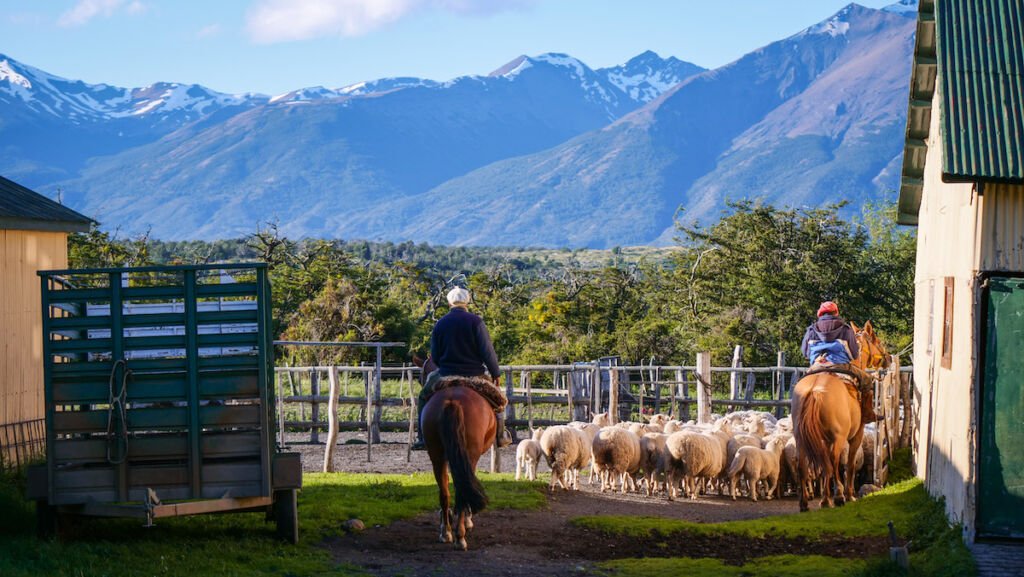 Gauchos working at Estancia Nibepo Aike, a sheep ranch in Patagonia, Argentina 
