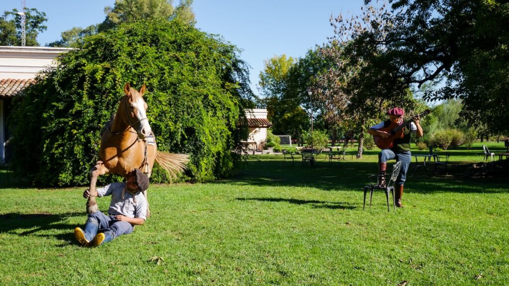 Doma India horse taming demonstration on an estancia day tour 