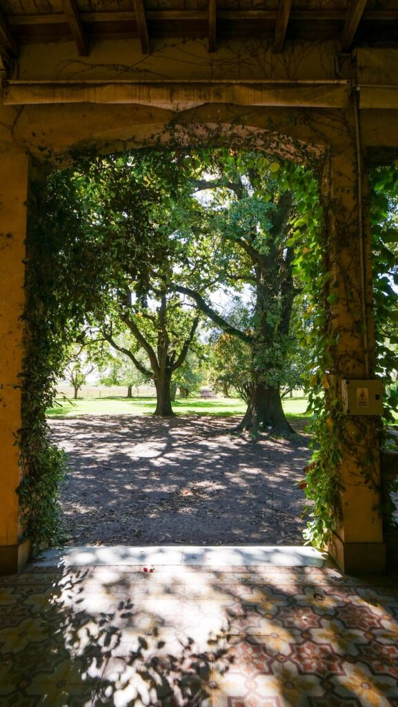 Views from the terrace at Estancia El Ombu de Areco