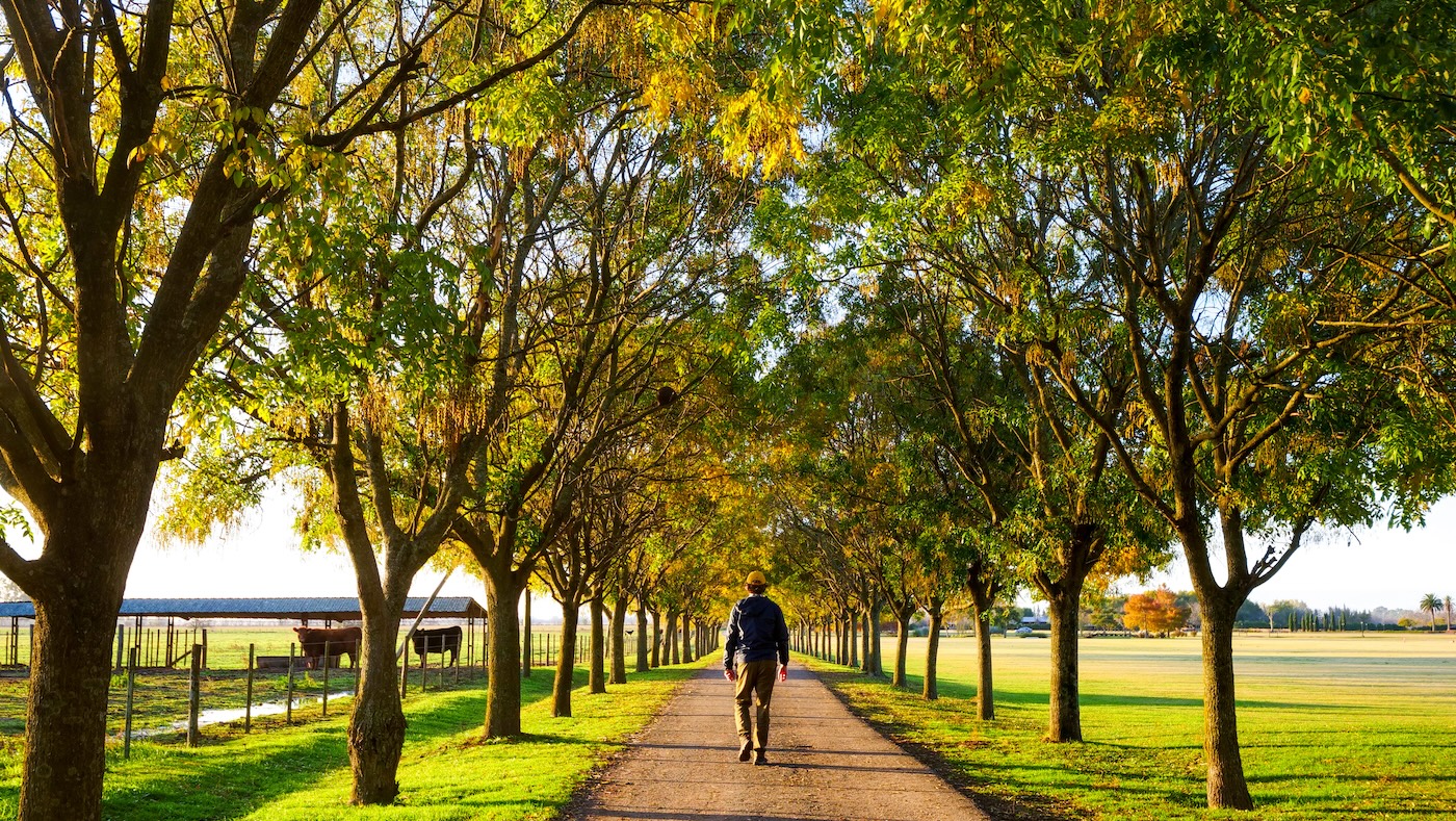 11 Beautiful Estancias Near Buenos Aires for a Weekend Escape! | Che ...