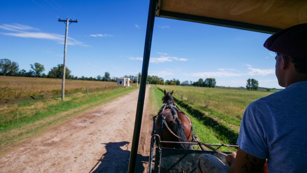 Riding a sulky carriage at Estancia El Ombu de Areco