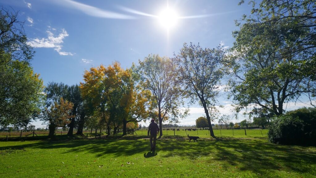 Visiting Estancia El Ombu de Areco on a day trip 