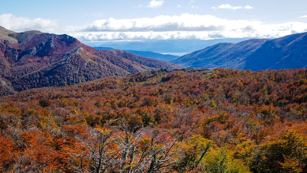 Autumn is one of the best times to visit Bariloche and enjoying the changing colours.