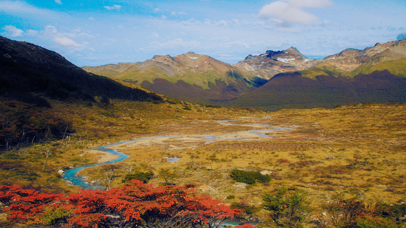 Autumn colours in Ushuaia, Argentina 