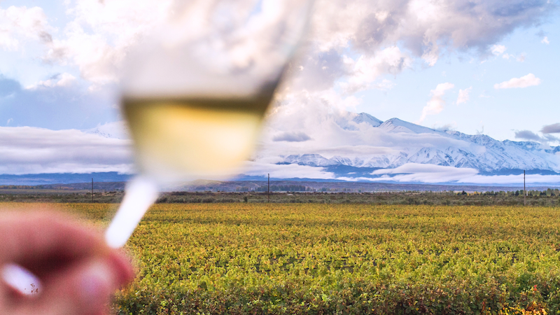 Wine tasting in the vineyards in Mendoza, Argentina.