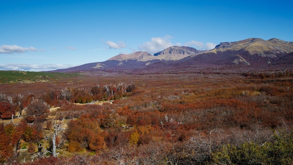 Autumn colours in the mountains at Huemules Nature Reserve in Esquel, Patagonia.