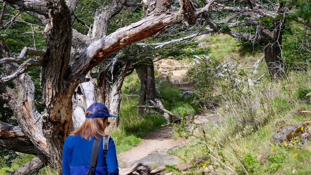 Enjoying an easy day hike in El Chalten, Patagonia