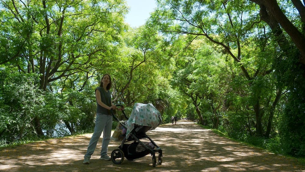 Leafy trail at Costanera Sur Ecological Reserve in Puerto Madero
