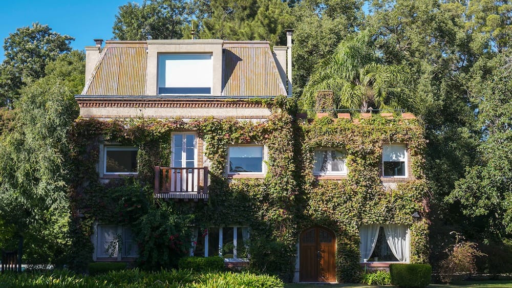 The French House is an annex on the estancia with adult-only rooms.