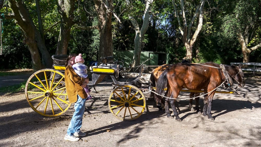 Audrey and Aurelia ready to board the horse drawn carriage for a ride around Estancia Villa Maria.