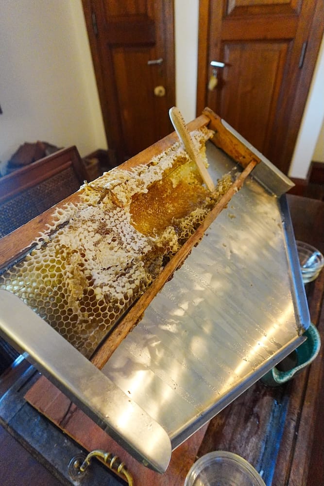 Honey dripping from the honeycomb for breakfast.