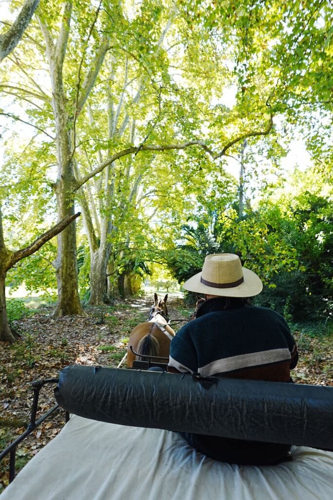 Enjoying a horse drawn carriage ride through the park at Estancia Villa Maria near Buenos Aires.