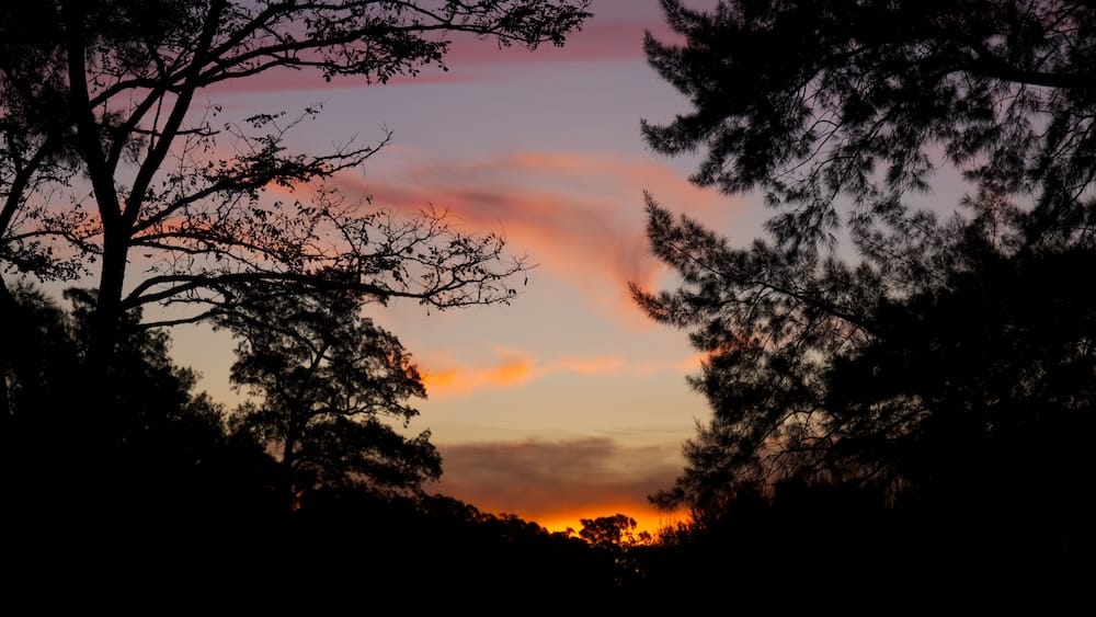 A beautiful sunset over the pampas at Estancia La Tomasa near Cachari.