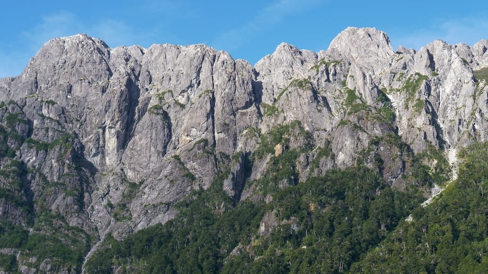 The Andes Mountains and Valdivian Forest can be seen while cruising Lago Frias.