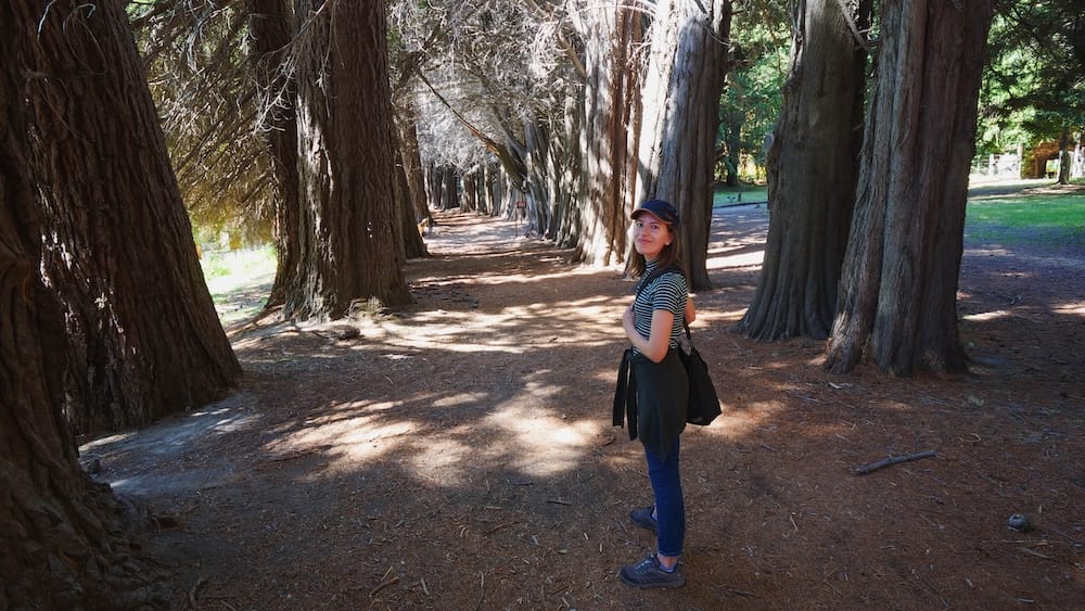 Audrey walking along the forest trail on her day trip to Isla Victoria.